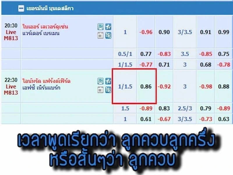 ราคาบอล1/1.5